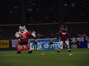 20080410-04.JPG