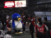 20080416-03.JPG
