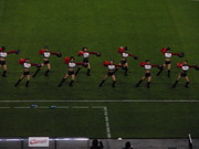 20080521-07.JPG