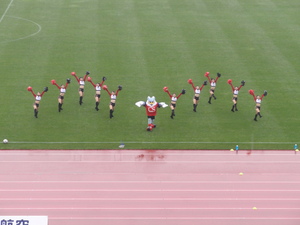 20080529-05.JPG