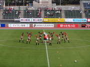 20081023-10.JPG