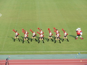 20081023-11.JPG
