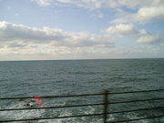 20090112-17.JPG
