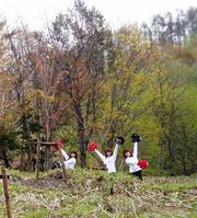 20090519-47.JPG