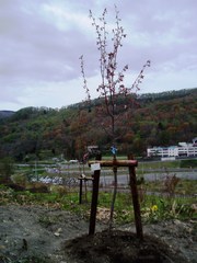 20090519-50.JPG