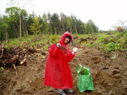 20090603-04.JPG