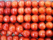 20090715-04.JPG