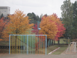 20091023-22.JPG