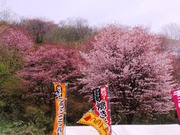 20100519-09.JPG
