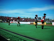 20100601-18.JPG