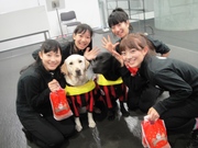 おりこうさん！