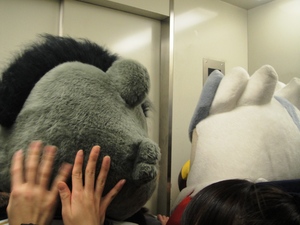 20101228-01.JPG