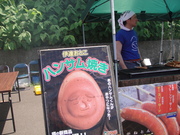 20110614-03.JPG