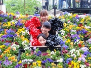 20110616-15.JPG