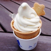 20110616-17.JPG