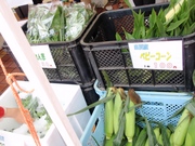 20110718-04.JPG