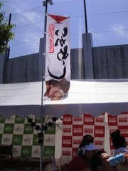 20110822-17.JPG