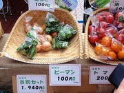 20110912-18.JPG