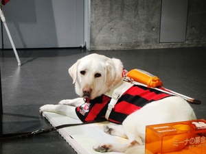 20110922-16.JPG