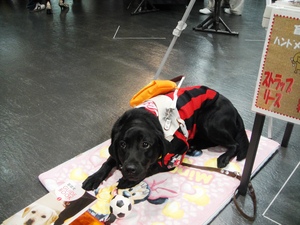 20110922-17.JPG