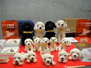 20120409-07.JPG