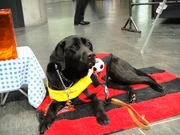 20120409-09.JPG