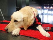 20120409-10.JPG