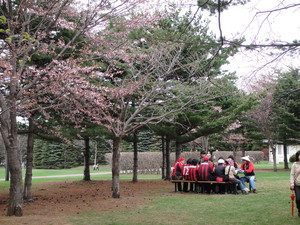 20120504-11.JPG