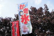 20120730-11.JPG