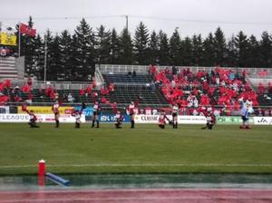 1367505003-harf.jpg