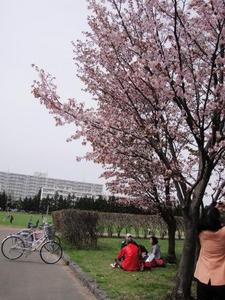 1369046429-DSC00072.JPG