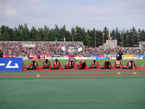 1376466033-DSC01246.JPG