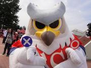 1382357774-DSC01910.JPG
