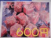 1403079718-DSC02146.JPG