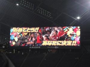 1428390742-DSC04550.jpg