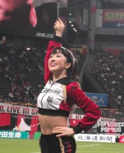 1431514093-fuji_289_.jpg
