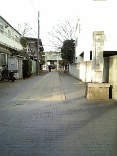 なんか神社らしくない敷地だなあ