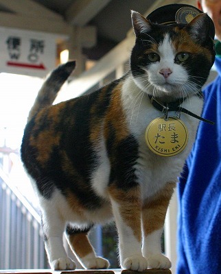 たま駅長の営業