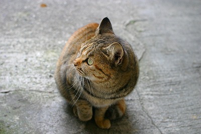 もう帰るのか？