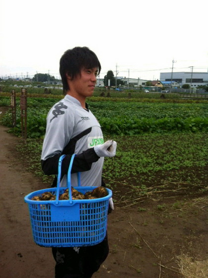 櫛引