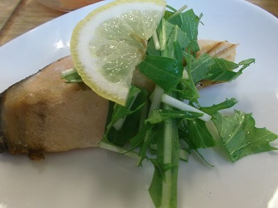 鮭の水菜レモンのせ。