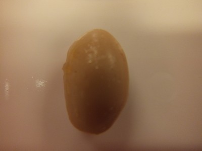 お豆。