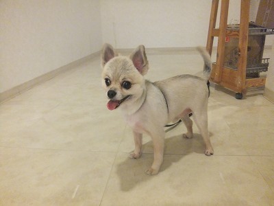 ペーちゃん。