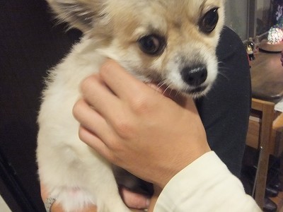 ペーちゃん。