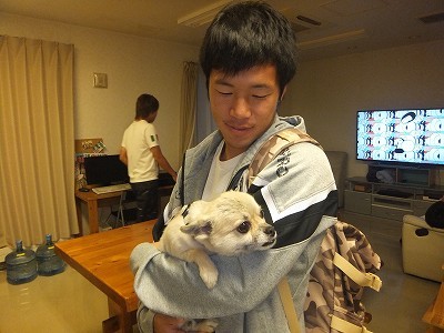 ゴメスくん。