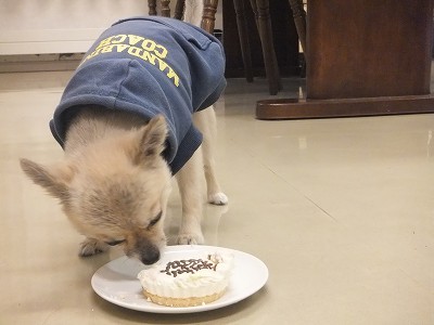 ぺーちゃん。