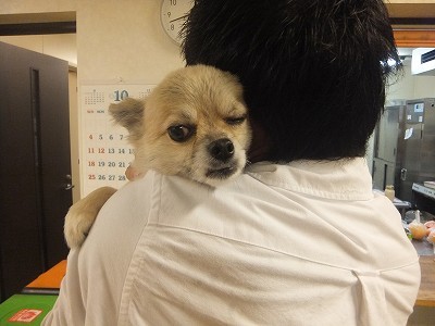 ゴメスくんとペーちゃん。