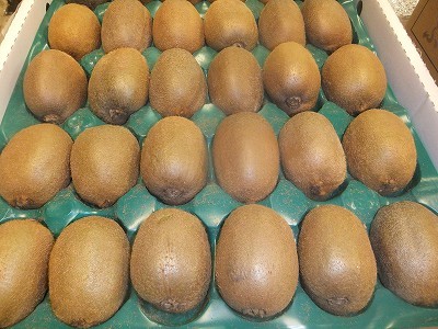 キウイ。