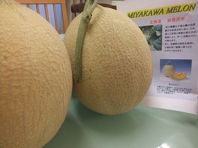 宮川メロン。
