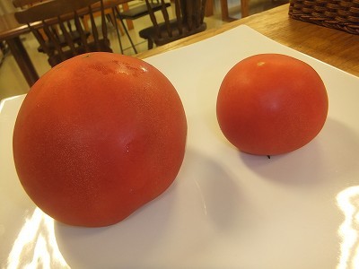 とまとととまと。